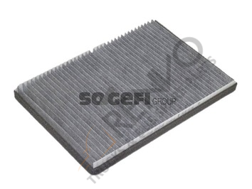 Mercedes Sprinter 2006-2010 Arası 313 CDI Karbonlu Polen Filtresi Purflux Marka