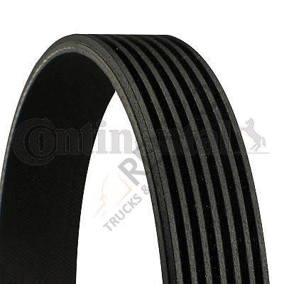 Mercedes Sprinter 2006-2010 Arası 319 CDI / BlueTEC 4x4 Vantilatör Kayışı Continental Ctam Marka