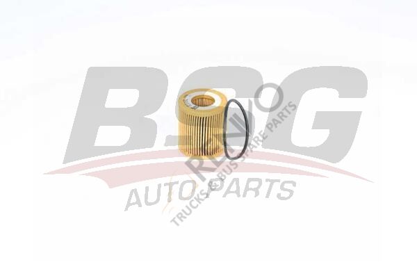 Ford Transit Connect 2013-2017 Arası 1.5 TDCi Yağ Filtresi BSG Marka