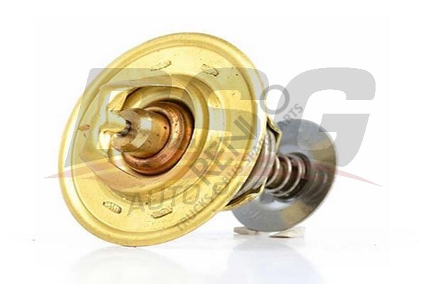 Ford Transit 1991-1994 Arası 2.5 DI Termostat BSG Marka