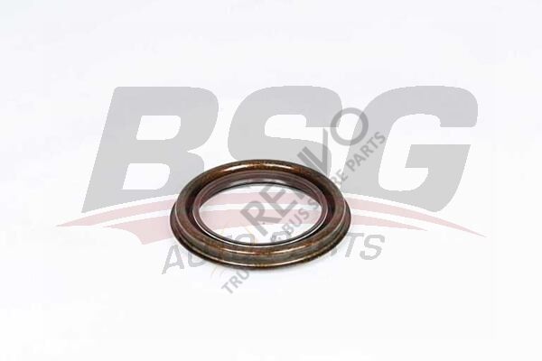 Ford Transit 2000-2006 Arası 2.3 16V RWD Arka Aks Keçesi BSG Marka