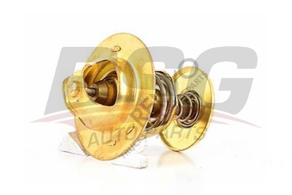 Ford Transit 1994-2000 Arası 2.0 Termostat BSG Marka