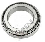 BEYİN MİLİ KUYRUK BİLYASI