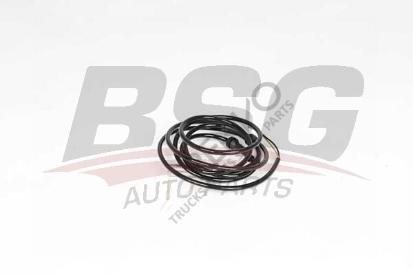 Mercedes Sprinter 1995-2012 Arası 312 D 2.9 Abs Sensörü BSG Marka