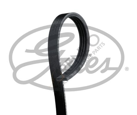 Ford Transit 1991-2000 Arası 2.5 TD Vantilatör Kayışı Gates Marka