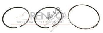 06-1315002.-5000323746-5001834329-5010295948-5010295978/20957N0 RVI SEGMAN 120 MM