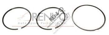 5000793689 PISTON RING-135 MM.