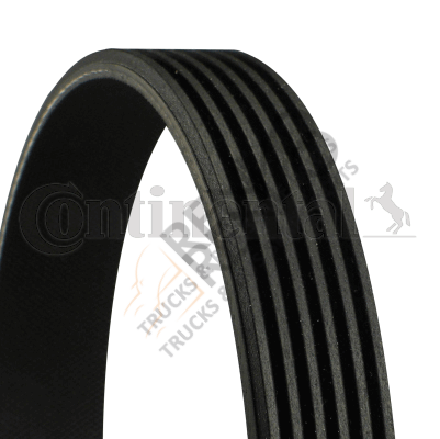 Mercedes Sprinter 1995-2006 Arası 216 CDI Vantilatör Kayışı Continental Ctam Marka