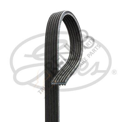 Mercedes Sprinter 2006-2010 Arası 513 CDI 4x4 Vantilatör Kayışı Gates Marka