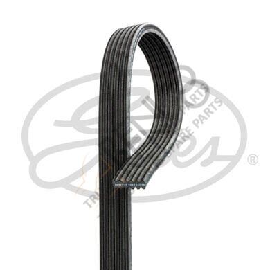 Mercedes Vito 2003-2007 Arası 116 CDI Vantilatör Kayışı Gates Marka