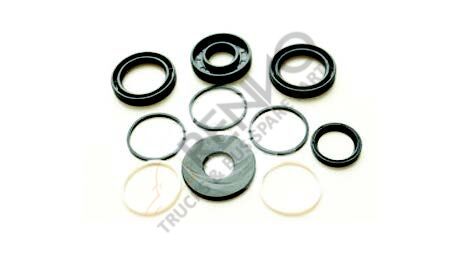 Power Steering Pump, Repair Kit SPRT W900 906