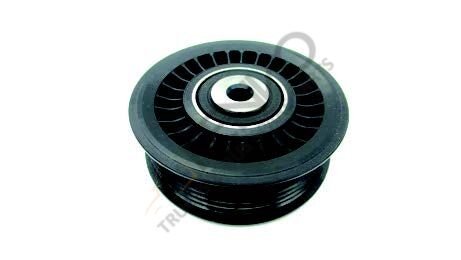 V Kayış Gergi Rulmanı