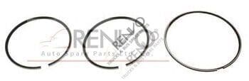5001825072 102.MM PISTON RING